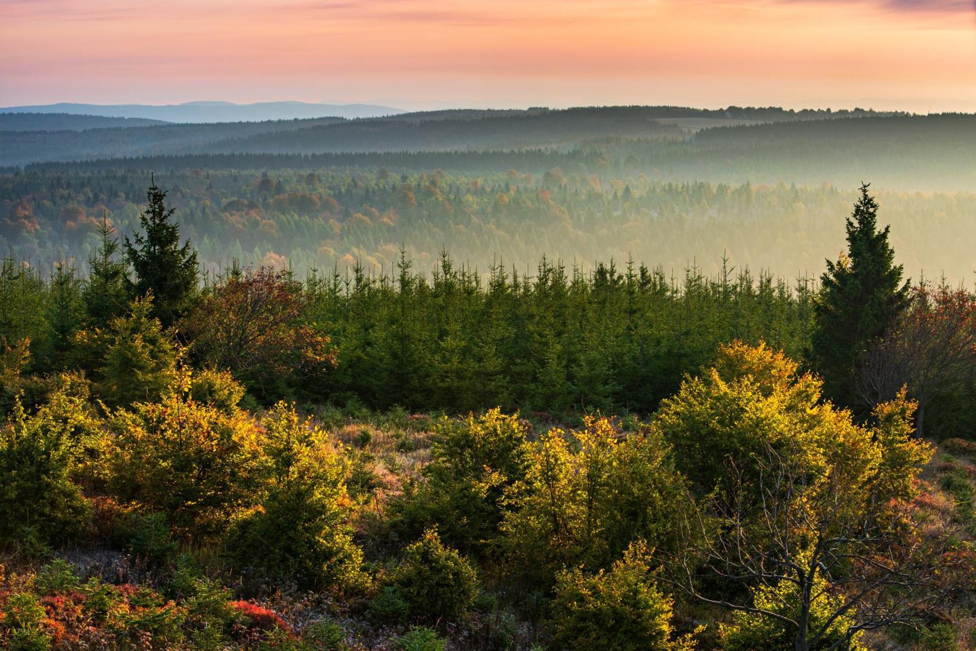 Chata Anton Guenther Boží Dar Buitenkant foto